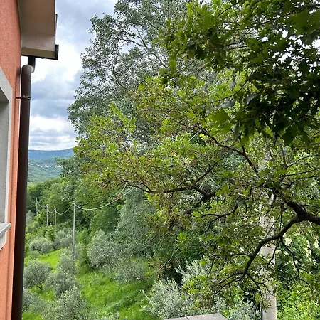 Bed and Breakfast Ai 2 Olmi - Monolocali Nel